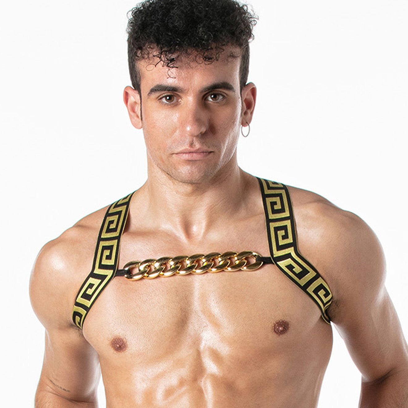 Invictus Harness Black Gold