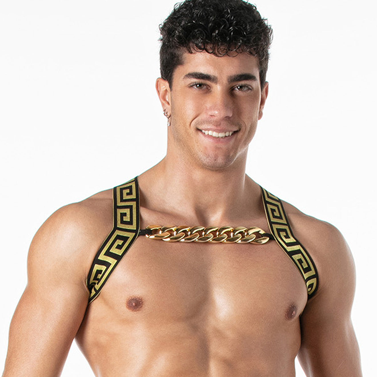 Invictus Harness Black Gold