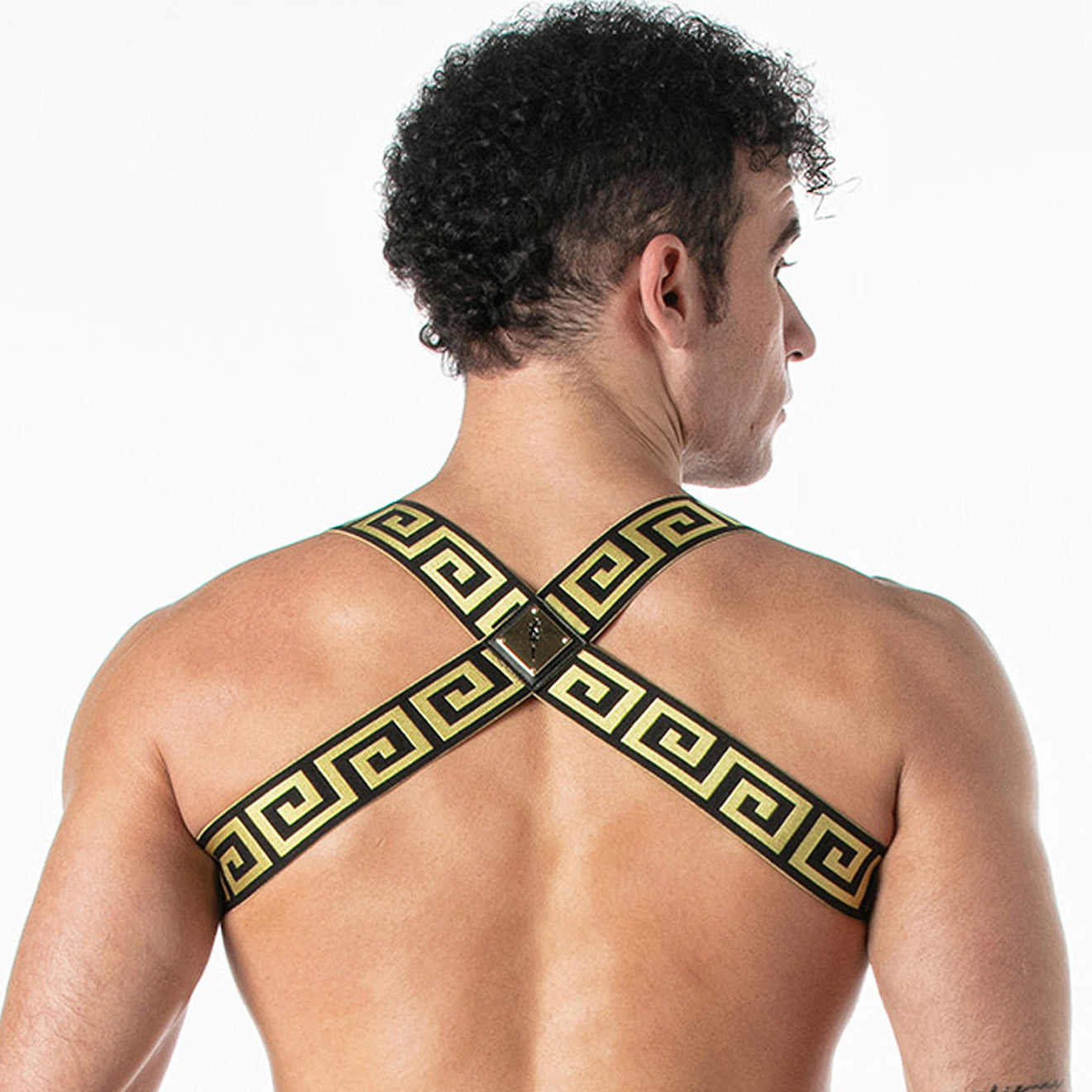 Invictus Harness Black Gold