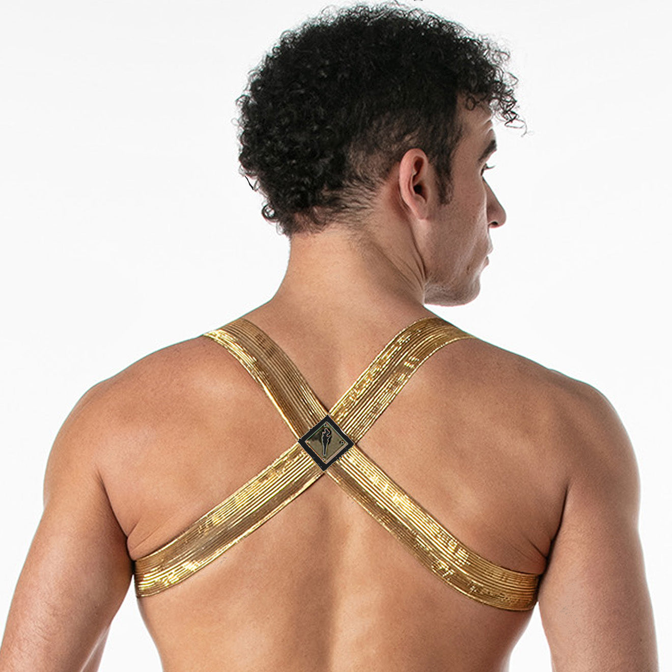 Metallic Harness Black Gold