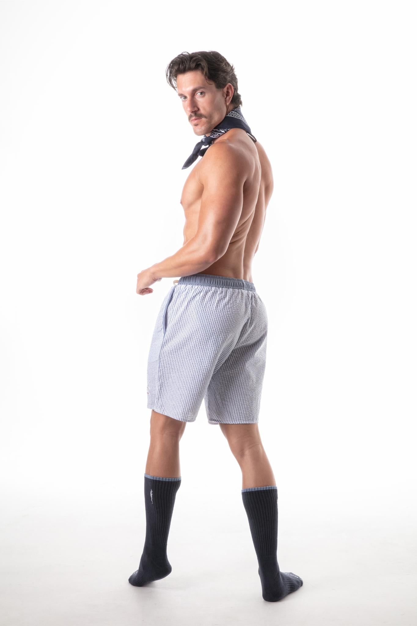 Leisure Stripe Shorts Blue
