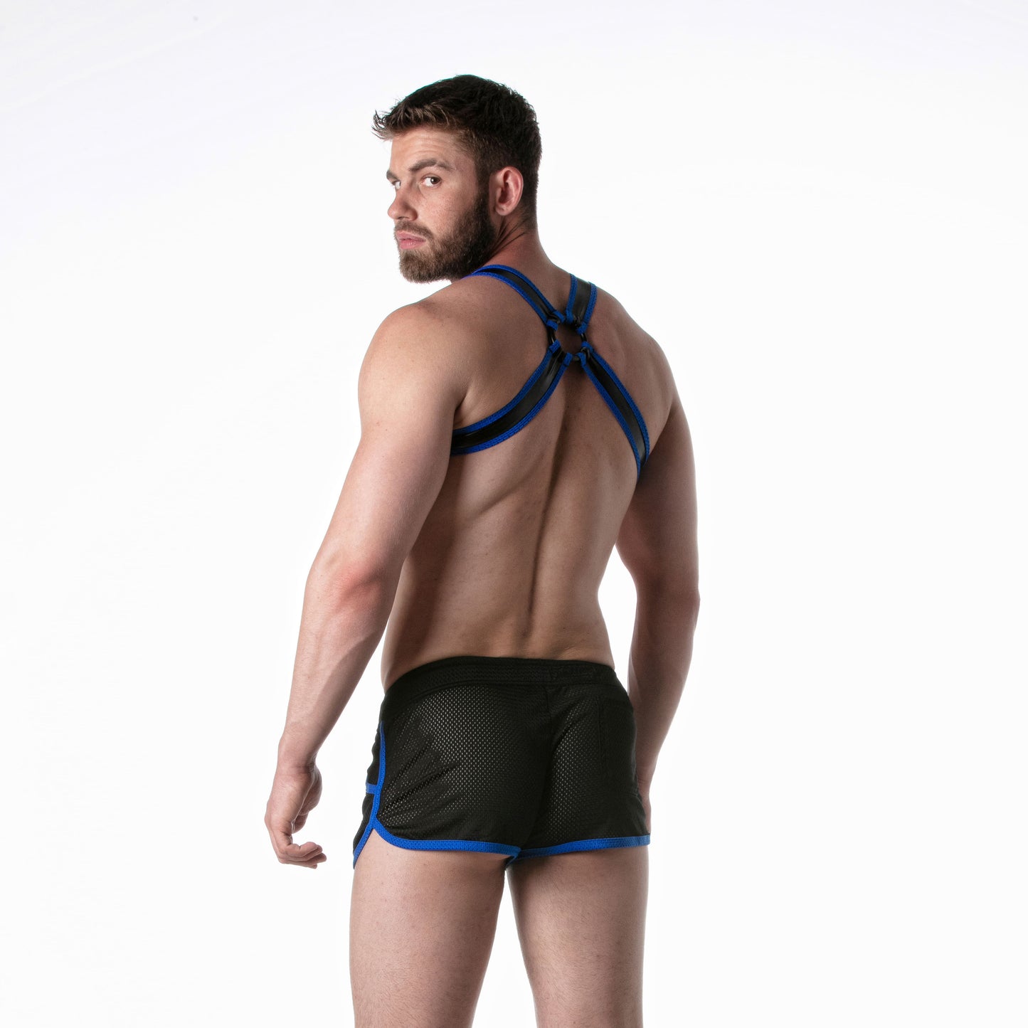 Brut Harness Blue