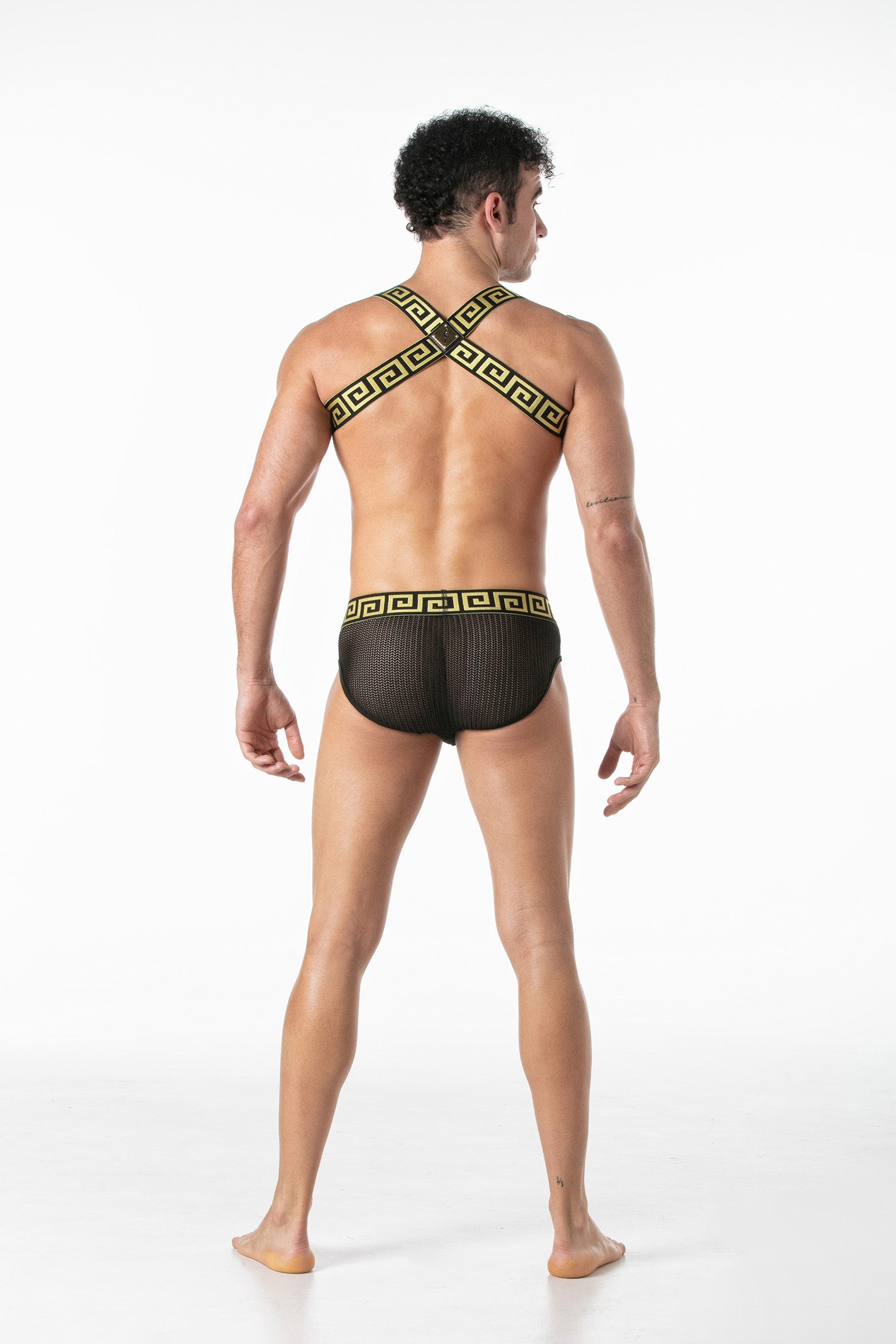 Invictus Harness Black Gold