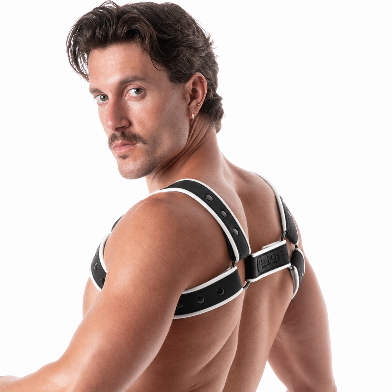 Neoprene Harness Black w/ White Trim