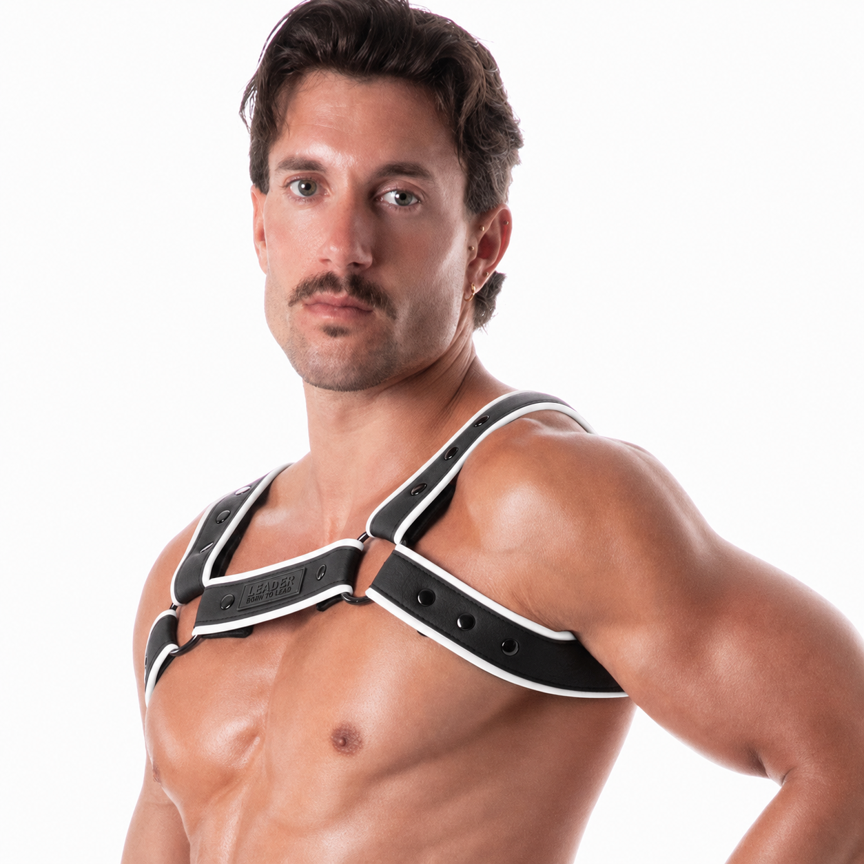 Neoprene Harness Black w/ White Trim